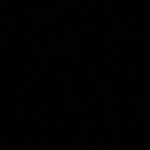 Meet your Posher, Cammie